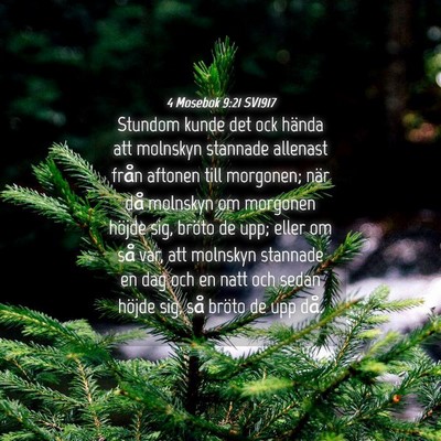 Picture 04 - 4 Mosebok 9:21 SV1917 - Stundom kunde det ock hända att molnskyn - Bible Verse Picture