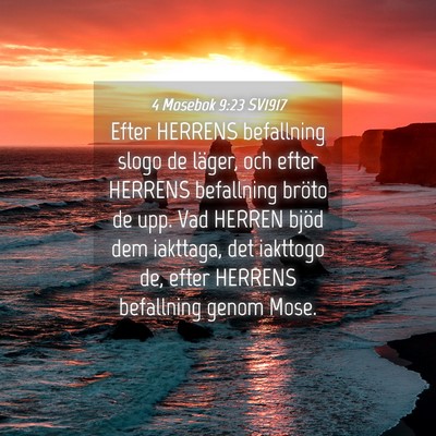 Picture 04 - 4 Mosebok 9:23 SV1917 - Efter HERRENS befallning slogo de läger, och - Bible Verse Picture