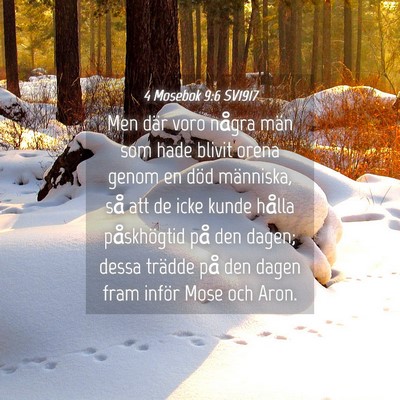 Picture 04 - 4 Mosebok 9:6 SV1917 - Men där voro några män som hade blivit orena - Bible Verse Picture
