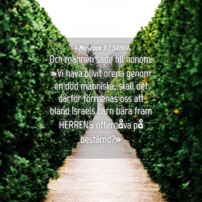 Picture 04 - 4 Mosebok 9:7 SV1917 - Och männen sade till honom: »Vi hava blivit - Bible Verse Picture