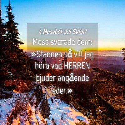 Picture 04 - 4 Mosebok 9:8 SV1917 - Mose svarade dem: »Stannen så vill jag höra - Bible Verse Picture