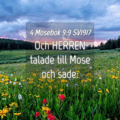 Picture 04 - 4 Mosebok 9:9 SV1917 - Och HERREN talade till Mose och - Bible Verse Picture