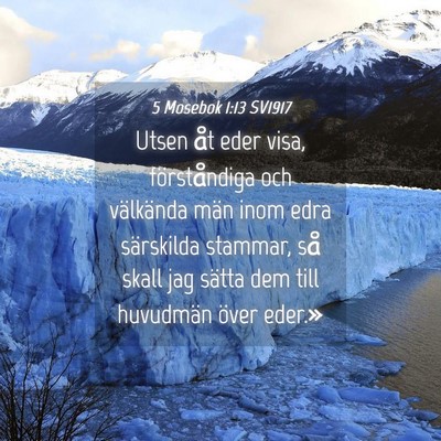 Picture 04 - 5 Mosebok 1:13 SV1917 - Utsen åt eder visa, förståndiga och välkända - Bible Verse Picture