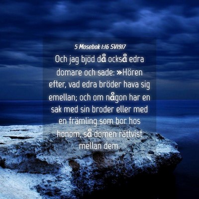 Picture 04 - 5 Mosebok 1:16 SV1917 - Och jag bjöd då också edra domare och sade: - Bible Verse Picture