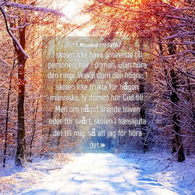 Picture 04 - 5 Mosebok 1:17 SV1917 - I skolen icke hava anseende till personen, när I - Bible Verse Picture