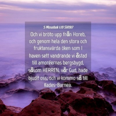 Picture 04 - 5 Mosebok 1:19 SV1917 - Och vi bröto upp från Horeb, och genom hela den - Bible Verse Picture