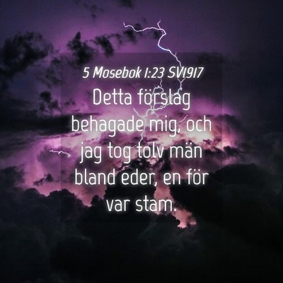 Picture 04 - 5 Mosebok 1:23 SV1917 - Detta förslag behagade mig, och jag tog tolv - Bible Verse Picture