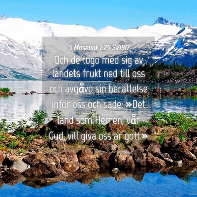 Picture 04 - 5 Mosebok 1:25 SV1917 - Och de togo med sig av landets frukt ned till oss - Bible Verse Picture
