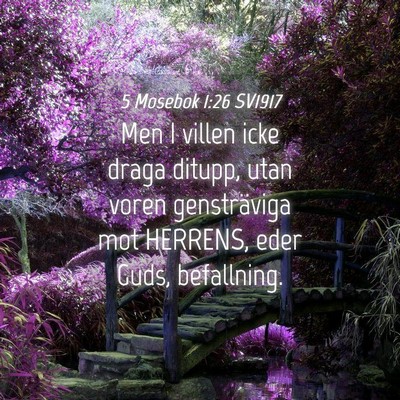 Picture 04 - 5 Mosebok 1:26 SV1917 - Men I villen icke draga ditupp, utan voren - Bible Verse Picture