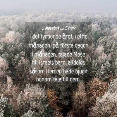 Picture 04 - 5 Mosebok 1:3 SV1917 - I det fyrtionde året, i elfte månaden. på - Bible Verse Picture
