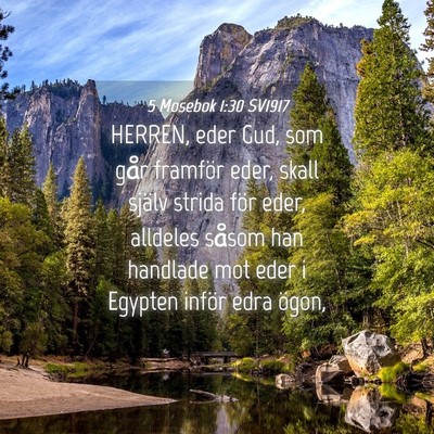 Picture 04 - 5 Mosebok 1:30 SV1917 - HERREN, eder Gud, som går framför eder, skall - Bible Verse Picture