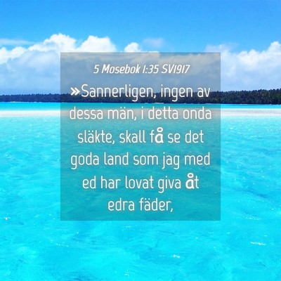Picture 04 - 5 Mosebok 1:35 SV1917 - »Sannerligen, ingen av dessa män, i detta onda - Bible Verse Picture