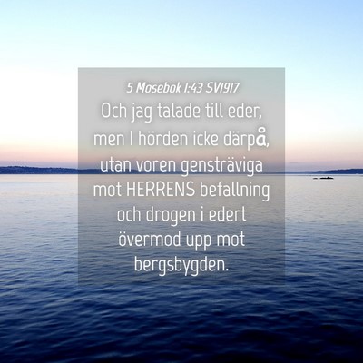 Picture 04 - 5 Mosebok 1:43 SV1917 - Och jag talade till eder, men I hörden icke - Bible Verse Picture