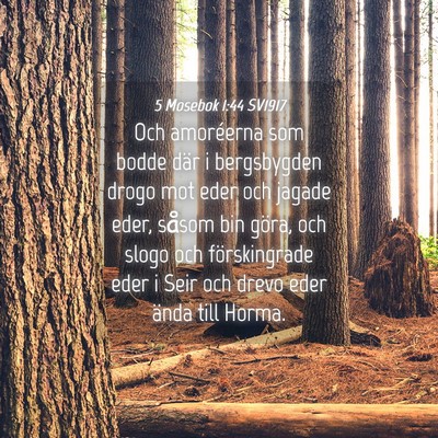 Picture 04 - 5 Mosebok 1:44 SV1917 - Och amoréerna som bodde där i bergsbygden drogo - Bible Verse Picture