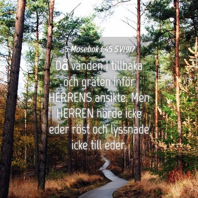 Picture 04 - 5 Mosebok 1:45 SV1917 - Då vänden I tillbaka och gräten inför HERRENS - Bible Verse Picture