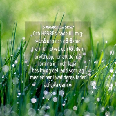 Picture 04 - 5 Mosebok 10:11 SV1917 - Och HERREN sade till mig: »Stå upp och gå - Bible Verse Picture