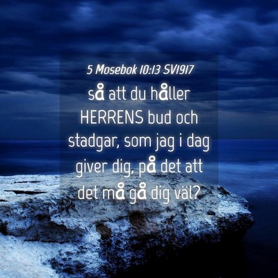 Picture 04 - 5 Mosebok 10:13 SV1917 - så att du håller HERRENS bud och stadgar, som - Bible Verse Picture