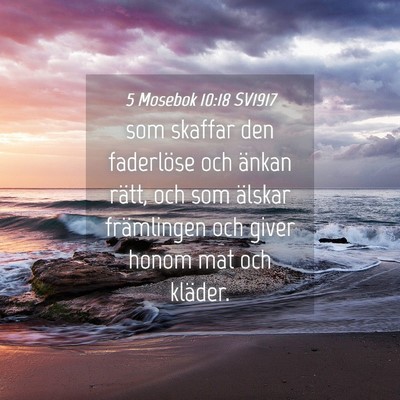 Picture 04 - 5 Mosebok 10:18 SV1917 - som skaffar den faderlöse och änkan rätt, och - Bible Verse Picture