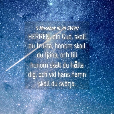 Picture 04 - 5 Mosebok 10:20 SV1917 - HERREN, din Gud, skall du frukta, honom skall du - Bible Verse Picture
