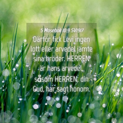 Picture 04 - 5 Mosebok 10:9 SV1917 - Därför fick Levi ingen lott eller arvedel - Bible Verse Picture