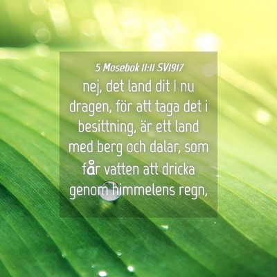 Picture 04 - 5 Mosebok 11:11 SV1917 - nej, det land dit I nu dragen, för att taga det - Bible Verse Picture