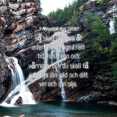 Picture 04 - 5 Mosebok 11:14 SV1917 - så skall jag giva åt edert land regn i rätt - Bible Verse Picture