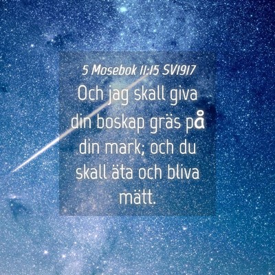 Picture 04 - 5 Mosebok 11:15 SV1917 - Och jag skall giva din boskap gräs på din mark; - Bible Verse Picture
