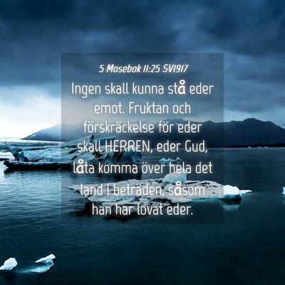 Picture 04 - 5 Mosebok 11:25 SV1917 - Ingen skall kunna stå eder emot. Fruktan och - Bible Verse Picture