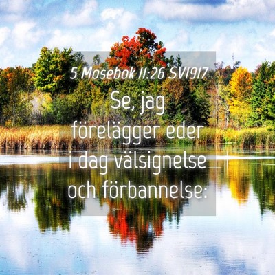 Picture 04 - 5 Mosebok 11:26 SV1917 - Se, jag förelägger eder i dag välsignelse och - Bible Verse Picture