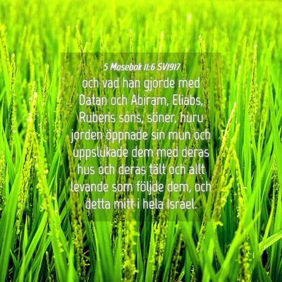 Picture 04 - 5 Mosebok 11:6 SV1917 - och vad han gjorde med Datan och Abiram, Eliabs, - Bible Verse Picture