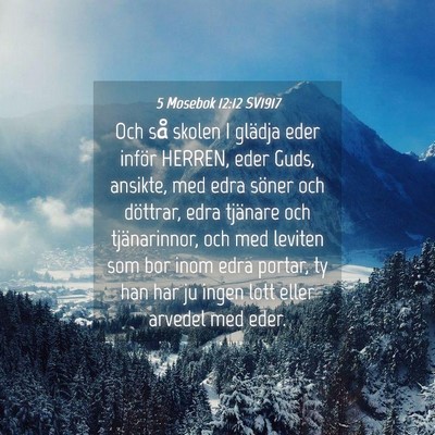 Picture 04 - 5 Mosebok 12:12 SV1917 - Och så skolen I glädja eder inför HERREN, eder - Bible Verse Picture