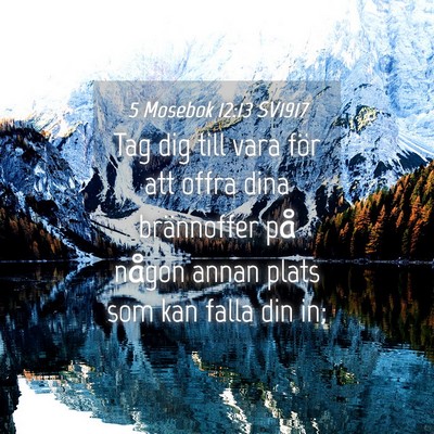 Picture 04 - 5 Mosebok 12:13 SV1917 - Tag dig till vara för att offra dina brännoffer - Bible Verse Picture