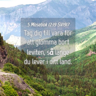 Picture 04 - 5 Mosebok 12:19 SV1917 - Tag dig till vara för att glömma bort leviten, - Bible Verse Picture