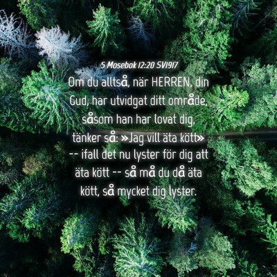 Picture 04 - 5 Mosebok 12:20 SV1917 - Om du alltså, när HERREN, din Gud, har utvidgat - Bible Verse Picture