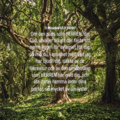 Picture 04 - 5 Mosebok 12:21 SV1917 - Om den plats som HERREN, din Gud, utväljer till - Bible Verse Picture