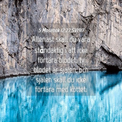 Picture 04 - 5 Mosebok 12:23 SV1917 - Allenast skall du vara ståndaktig i att icke - Bible Verse Picture