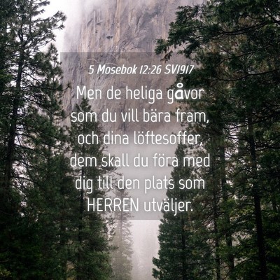 Picture 04 - 5 Mosebok 12:26 SV1917 - Men de heliga gåvor som du vill bära fram, och - Bible Verse Picture