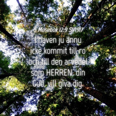 Picture 04 - 5 Mosebok 12:9 SV1917 - I haven ju ännu icke kommit till ro och till den - Bible Verse Picture