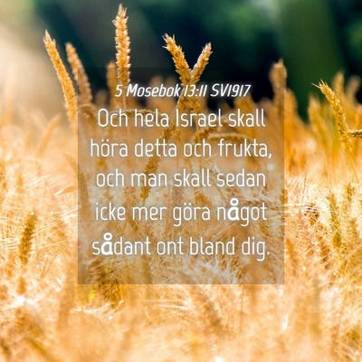 Picture 04 - 5 Mosebok 13:11 SV1917 - Och hela Israel skall höra detta och frukta, och - Bible Verse Picture