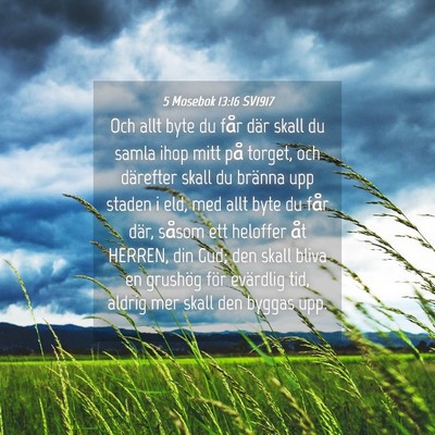 Picture 04 - 5 Mosebok 13:16 SV1917 - Och allt byte du får där skall du samla ihop - Bible Verse Picture