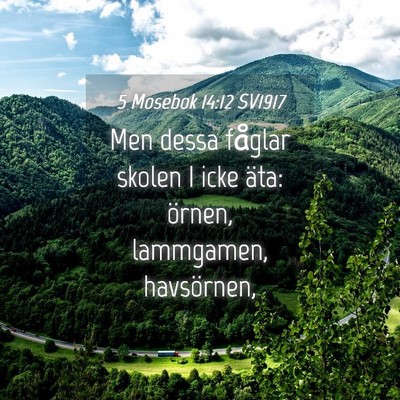 Picture 04 - 5 Mosebok 14:12 SV1917 - Men dessa fåglar skolen I icke äta: örnen, - Bible Verse Picture