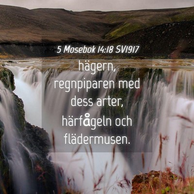 Picture 04 - 5 Mosebok 14:18 SV1917 - hägern, regnpiparen med dess arter, härfågeln - Bible Verse Picture