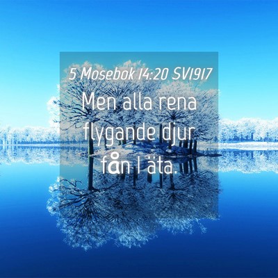 Picture 04 - 5 Mosebok 14:20 SV1917 - Men alla rena flygande djur fån I - Bible Verse Picture