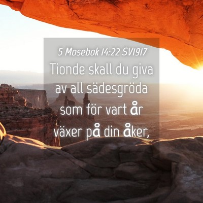 Picture 04 - 5 Mosebok 14:22 SV1917 - Tionde skall du giva av all sädesgröda som för - Bible Verse Picture
