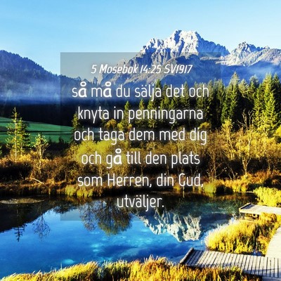 Picture 04 - 5 Mosebok 14:25 SV1917 - så må du sälja det och knyta in penningarna - Bible Verse Picture