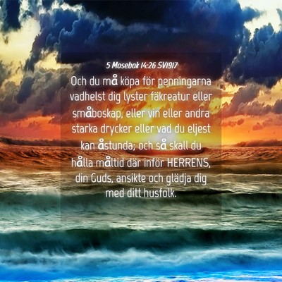 Picture 04 - 5 Mosebok 14:26 SV1917 - Och du må köpa för penningarna vadhelst dig - Bible Verse Picture