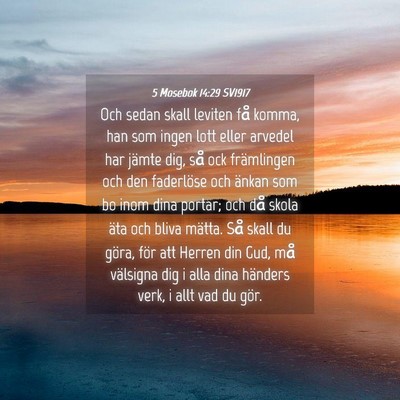 Picture 04 - 5 Mosebok 14:29 SV1917 - Och sedan skall leviten få komma, han som ingen - Bible Verse Picture