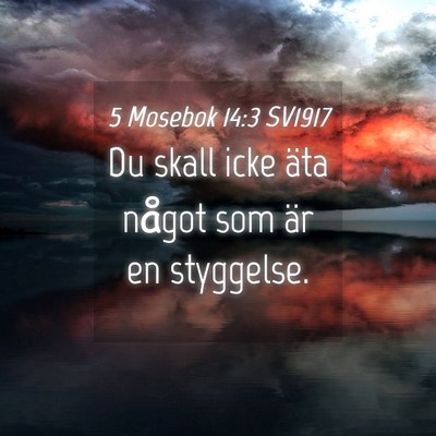 Picture 04 - 5 Mosebok 14:3 SV1917 - Du skall icke äta något som är en - Bible Verse Picture