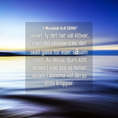 Picture 04 - 5 Mosebok 14:8 SV1917 - svinet, ty det har väl klövar, men det idisslar - Bible Verse Picture