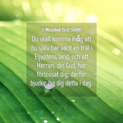 Picture 04 - 5 Mosebok 15:15 SV1917 - Du skall komma ihåg att du själv har varit en - Bible Verse Picture